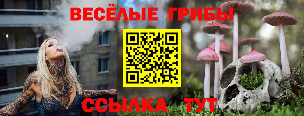 Псилоцибиновые грибы MAGIC MUSHROOMS Мирный